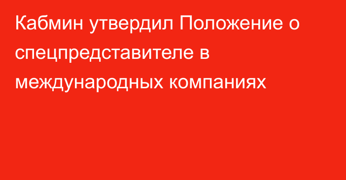 Кабмин утвердил Положение о спецпредставителе в международных компаниях