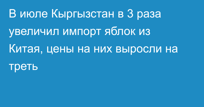 В июле Кыргызстан в 3 раза увеличил импорт яблок из Китая, цены на них выросли на треть