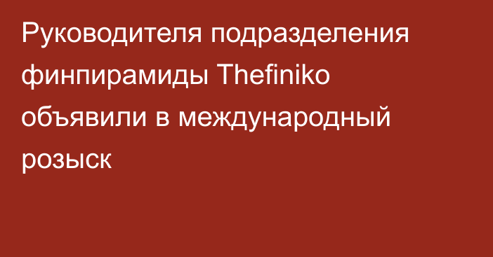 Руководителя подразделения финпирамиды Thefiniko объявили в международный розыск