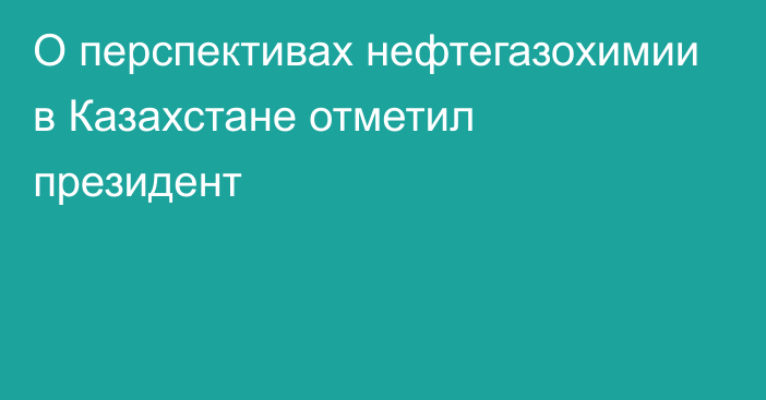 О перспективах нефтегазохимии в Казахстане отметил президент