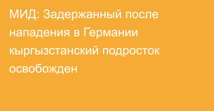 МИД: Задержанный после нападения в Германии кыргызстанский подросток освобожден