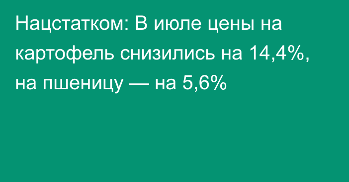 Нацстатком: В июле цены на картофель снизились на 14,4%, на пшеницу — на 5,6%