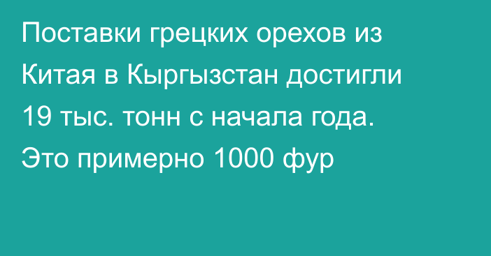 Поставки грецких орехов из Китая в Кыргызстан достигли 19 тыс. тонн с начала года. Это примерно 1000 фур