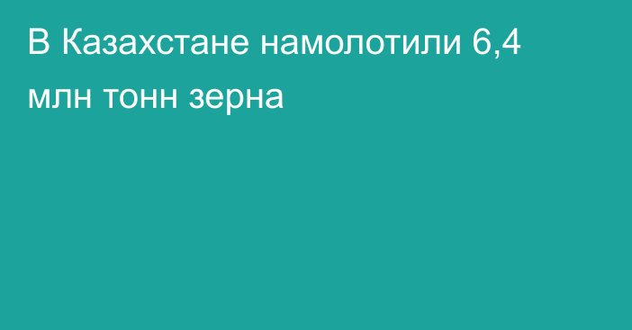 В Казахстане намолотили 6,4 млн тонн зерна