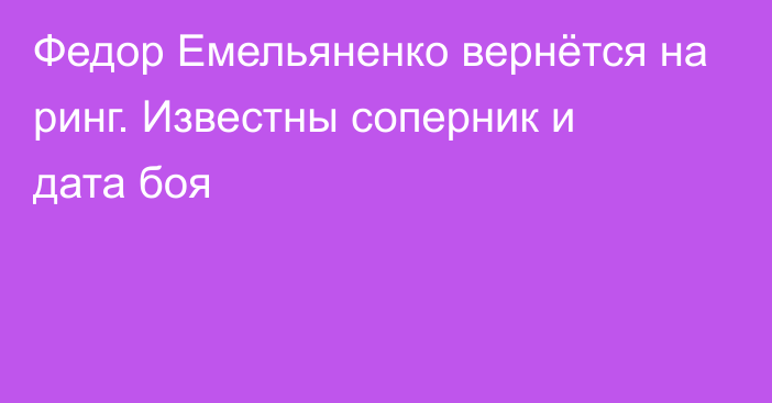 Федор Емельяненко вернётся на ринг. Известны соперник и дата боя