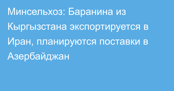 Минсельхоз: Баранина из Кыргызстана экспортируется в Иран, планируются поставки в Азербайджан