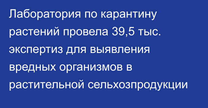 Лаборатория по карантину растений провела 39,5 тыс. экспертиз для выявления вредных организмов в растительной сельхозпродукции