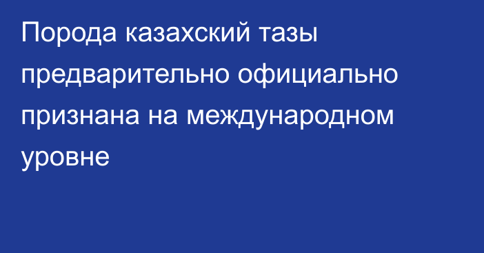 Порода казахский тазы предварительно официально признана на международном уровне