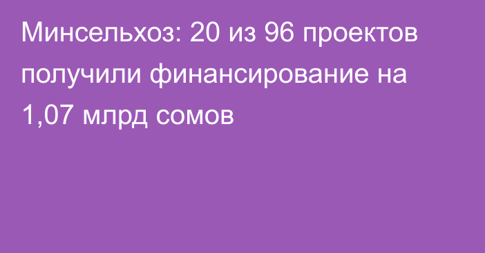 Минсельхоз: 20 из 96 проектов получили финансирование на 1,07 млрд сомов