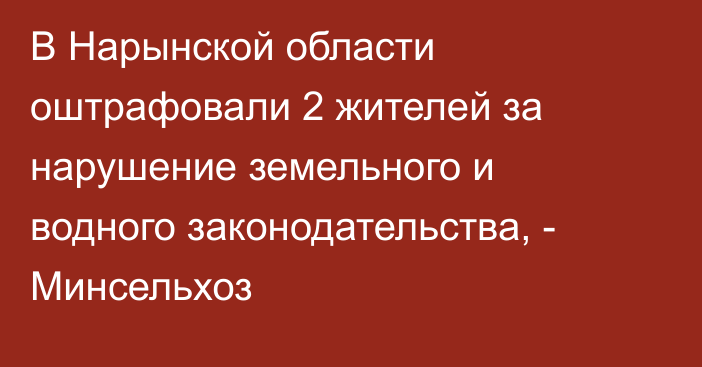 В Нарынской области оштрафовали 2 жителей за нарушение земельного и водного законодательства, - Минсельхоз