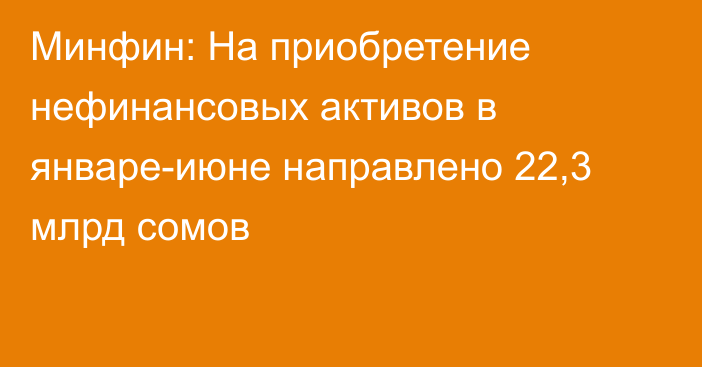 Минфин: На приобретение нефинансовых активов в январе-июне направлено 22,3 млрд сомов