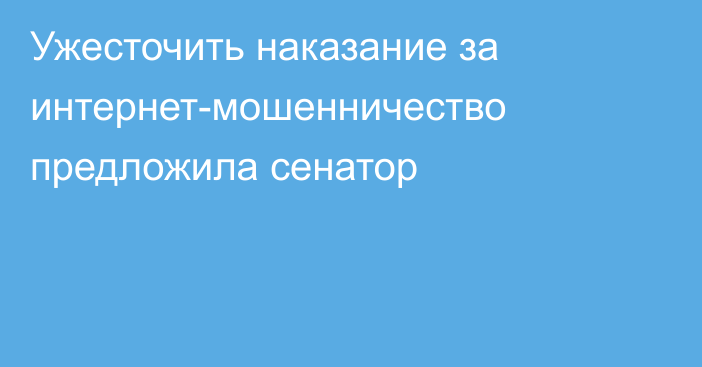 Ужесточить наказание за интернет-мошенничество предложила сенатор