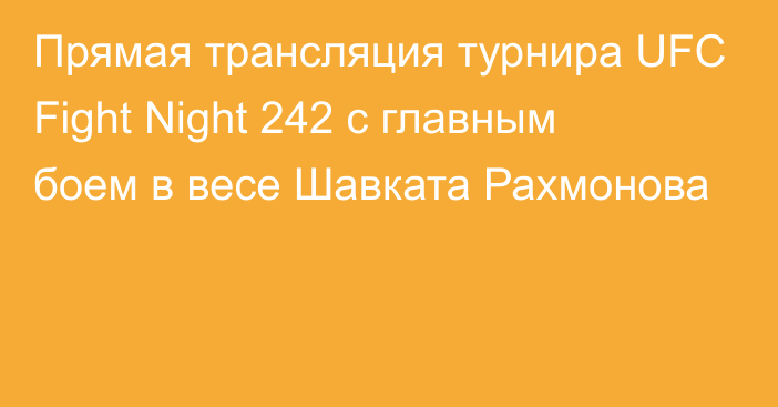 Прямая трансляция турнира UFC Fight Night 242 с главным боем в весе Шавката Рахмонова