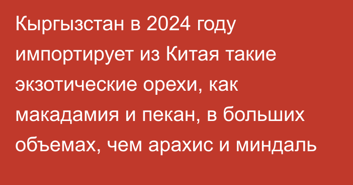 Кыргызстан в 2024 году импортирует из Китая такие экзотические орехи, как макадамия и пекан, в больших объемах, чем арахис и миндаль