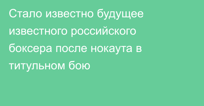 Стало известно будущее известного российского боксера после нокаута в титульном бою