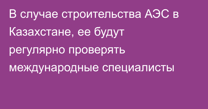 В случае строительства АЭС в Казахстане, ее будут регулярно проверять международные специалисты