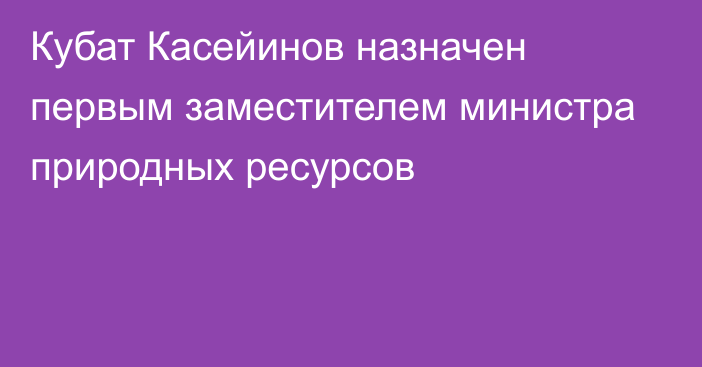 Кубат Касейинов назначен первым заместителем министра природных ресурсов