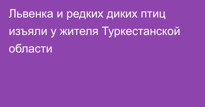 Львенка и редких диких птиц изъяли у жителя Туркестанской области