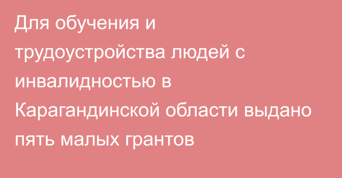 Для обучения и трудоустройства людей с инвалидностью в Карагандинской области выдано пять малых грантов