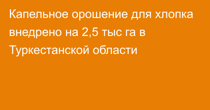 Капельное орошение для хлопка внедрено на 2,5 тыс га в Туркестанской области