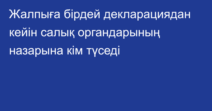 Жалпыға бірдей декларациядан кейін салық органдарының назарына кім түседі