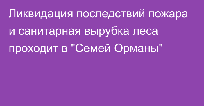 Ликвидация последствий пожара и санитарная вырубка леса проходит в 