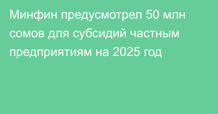 Минфин предусмотрел 50 млн сомов для субсидий частным предприятиям на 2025 год