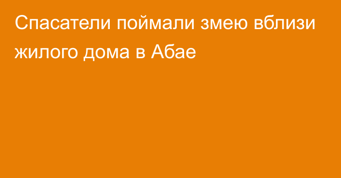 Спасатели поймали змею вблизи жилого дома в Абае