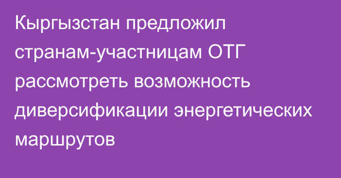 Кыргызстан предложил странам-участницам ОТГ рассмотреть возможность диверсификации энергетических маршрутов