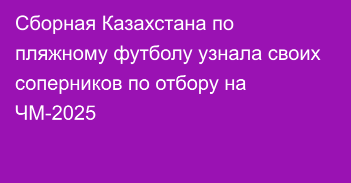 Сборная Казахстана по пляжному футболу узнала своих соперников по отбору на ЧМ-2025