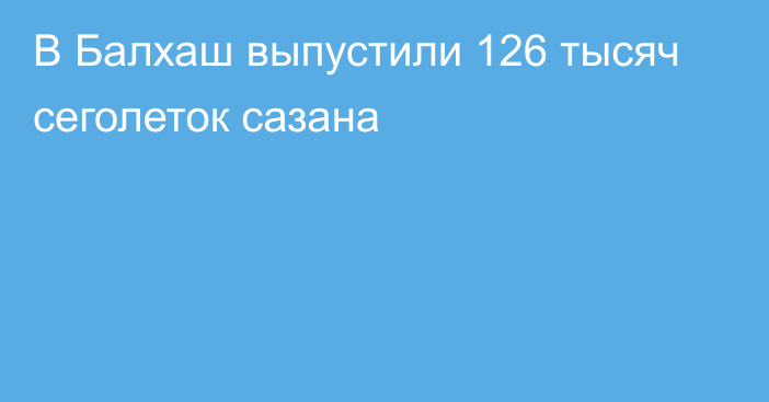 В Балхаш выпустили 126 тысяч сеголеток сазана