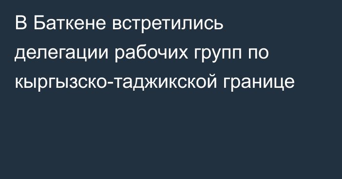 В Баткене встретились делегации рабочих групп по кыргызско-таджикской границе