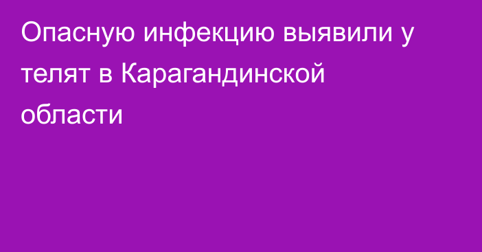 Опасную инфекцию выявили у телят в Карагандинской области