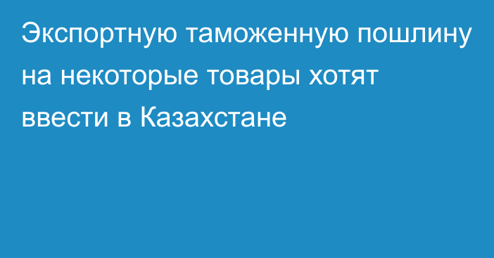 Экспортную таможенную пошлину на некоторые товары хотят ввести в Казахстане