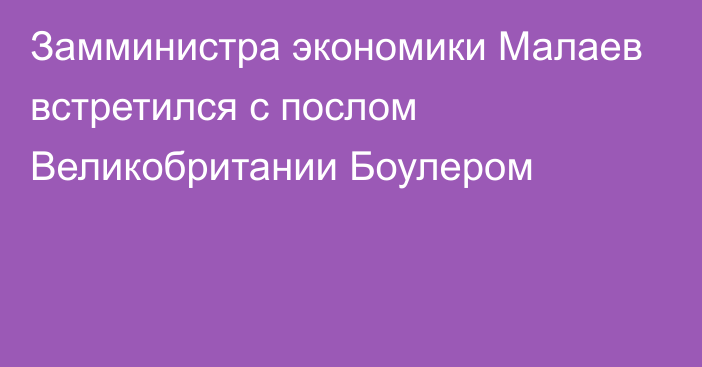 Замминистра экономики Малаев встретился с послом Великобритании Боулером