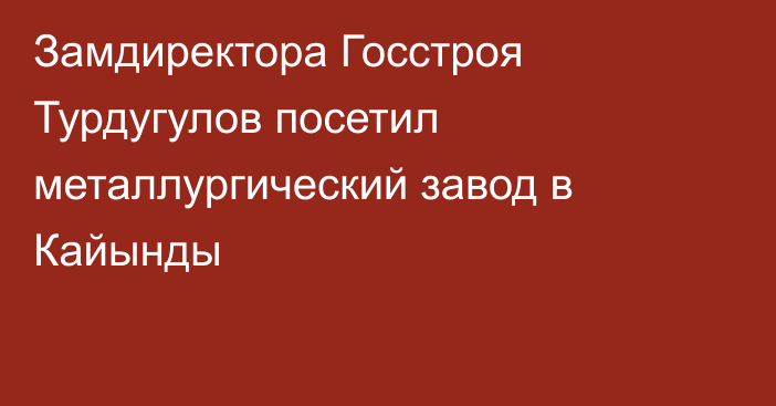 Замдиректора Госстроя Турдугулов посетил металлургический завод в Кайынды 