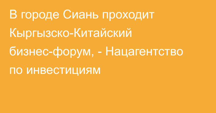 В городе Сиань проходит Кыргызско-Китайский бизнес-форум, - Нацагентство по инвестициям