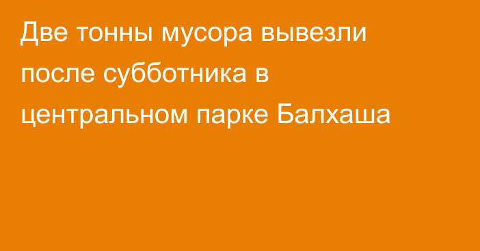 Две тонны мусора вывезли после субботника в центральном парке Балхаша