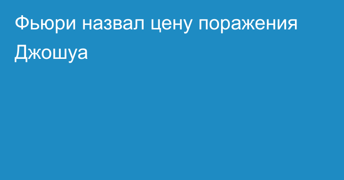 Фьюри назвал цену поражения Джошуа