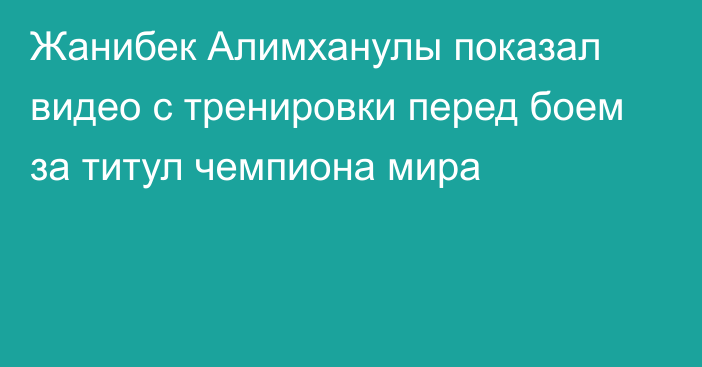 Жанибек Алимханулы показал видео с тренировки перед боем за титул чемпиона мира