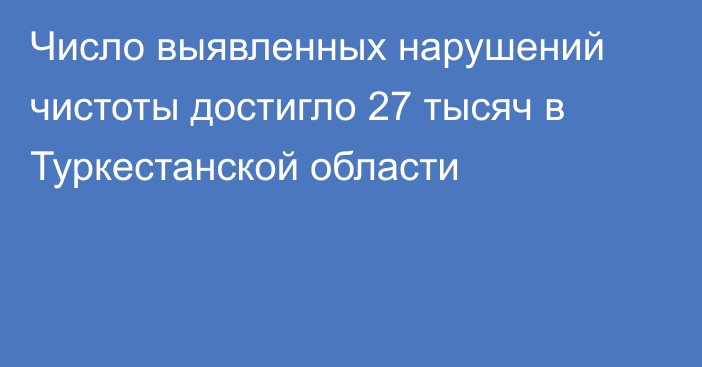 Число выявленных нарушений чистоты достигло 27 тысяч в Туркестанской области