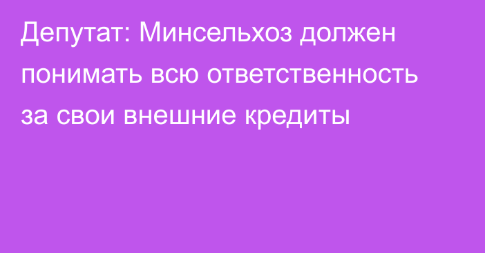 Депутат: Минсельхоз должен понимать всю ответственность за свои внешние кредиты