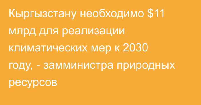 Кыргызстану необходимо $11 млрд для реализации климатических мер к 2030 году, - замминистра природных ресурсов