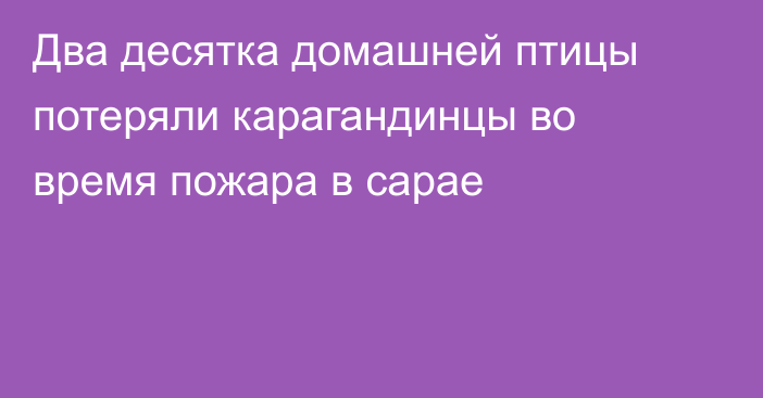 Два десятка домашней птицы потеряли карагандинцы во время пожара в сарае