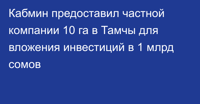 Кабмин предоставил частной компании 10 га в Тамчы для вложения инвестиций в 1 млрд сомов