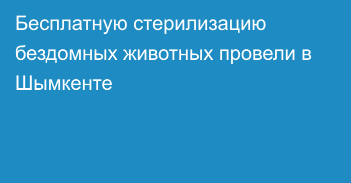 Бесплатную стерилизацию бездомных животных провели в Шымкенте