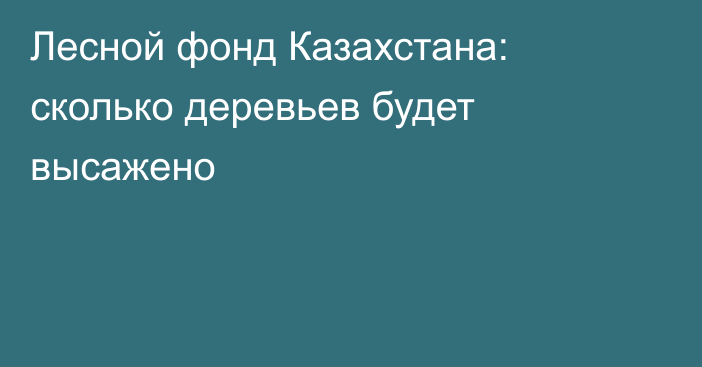 Лесной фонд Казахстана: сколько деревьев будет высажено