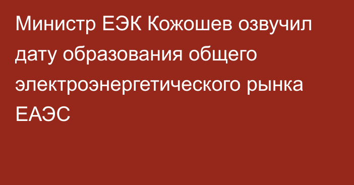 Министр ЕЭК Кожошев озвучил дату образования общего электроэнергетического рынка ЕАЭС