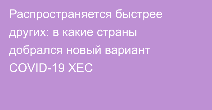 Распространяется быстрее других: в какие страны добрался новый вариант COVID-19 XEC