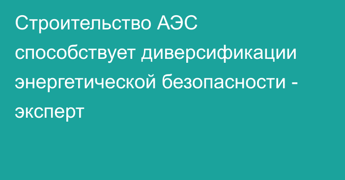 Строительство АЭС способствует диверсификации энергетической безопасности - эксперт